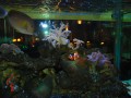 Tn DSC 5427